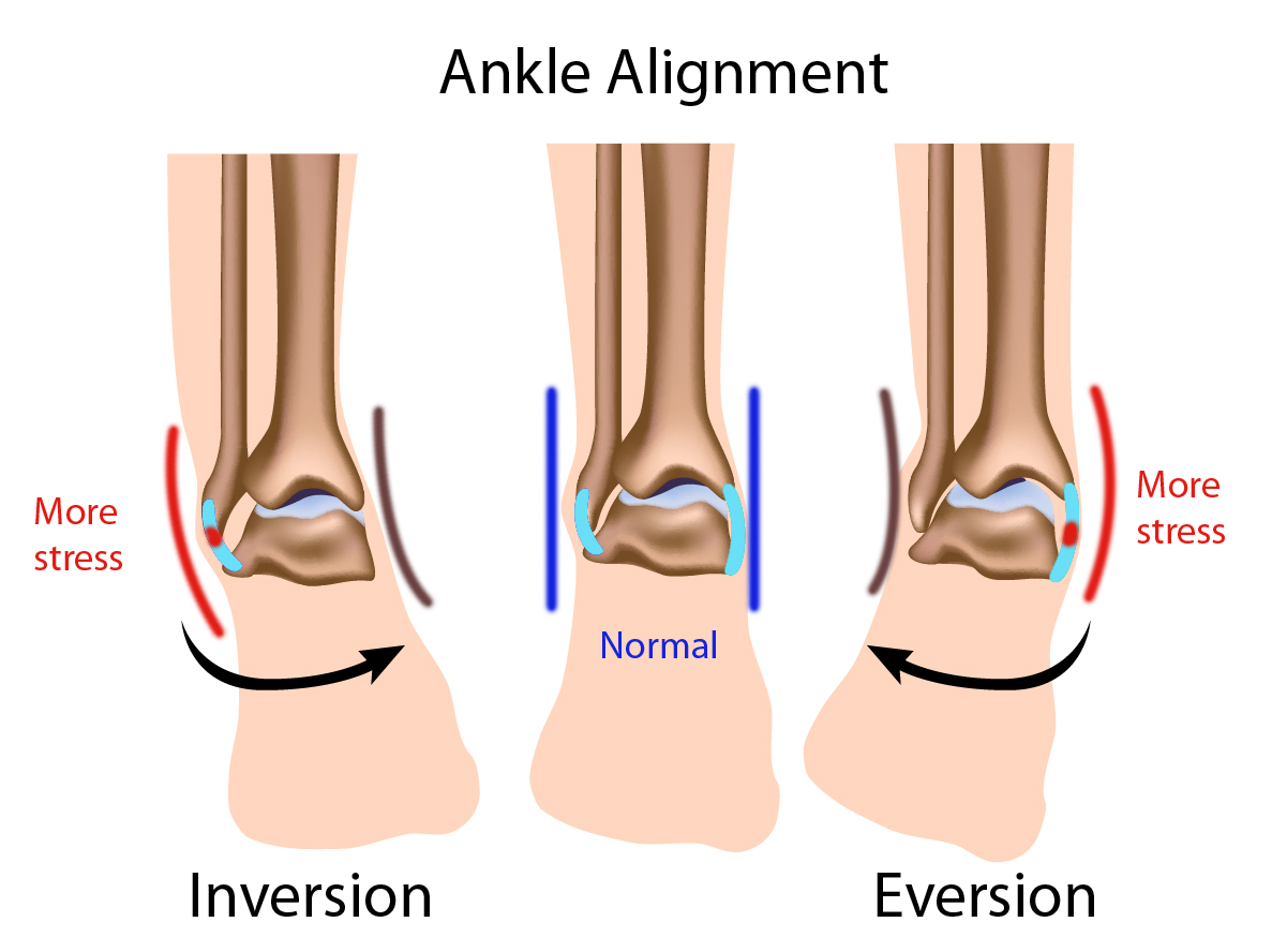 Lets Talk Injury Prevention Physiotherapy Chiropractic Massage