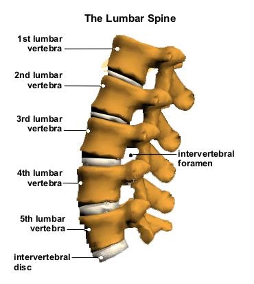 What’s The Deal With Lower Back Pain? | Physiotherapy Clinic And Rehab ...